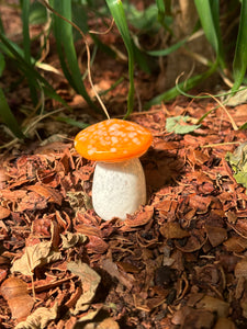 Garden Mushroom