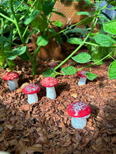 Load image into Gallery viewer, Garden Mushroom