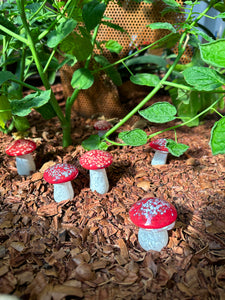 Garden Mushroom