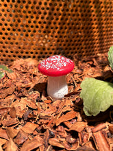 Load image into Gallery viewer, Garden Mushroom
