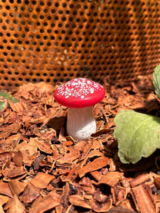 Garden Mushroom