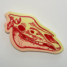 Load image into Gallery viewer, Animal Skull Paintings