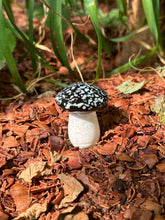 Load image into Gallery viewer, Garden Mushroom