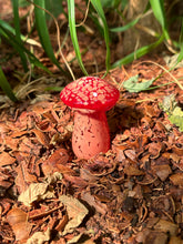 Load image into Gallery viewer, Garden Mushroom