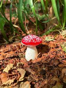 Garden Mushroom