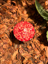 Load image into Gallery viewer, Garden Mushroom