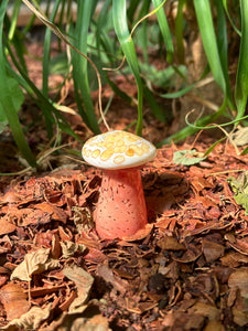 Garden Mushroom