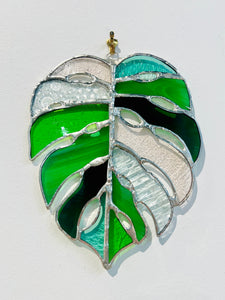 Monstera leaf