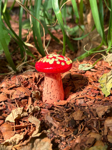 Garden Mushroom