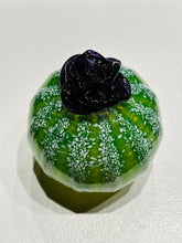 Load image into Gallery viewer, Round Succulent