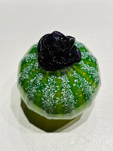 Round Succulent