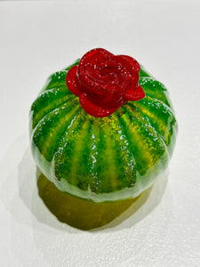 Round Succulent