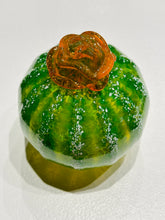 Load image into Gallery viewer, Round Succulent