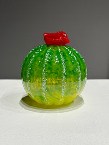 Round Succulent