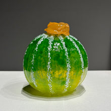 Load image into Gallery viewer, Round Succulent