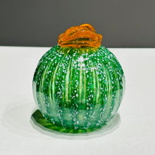 Load image into Gallery viewer, Round Succulent