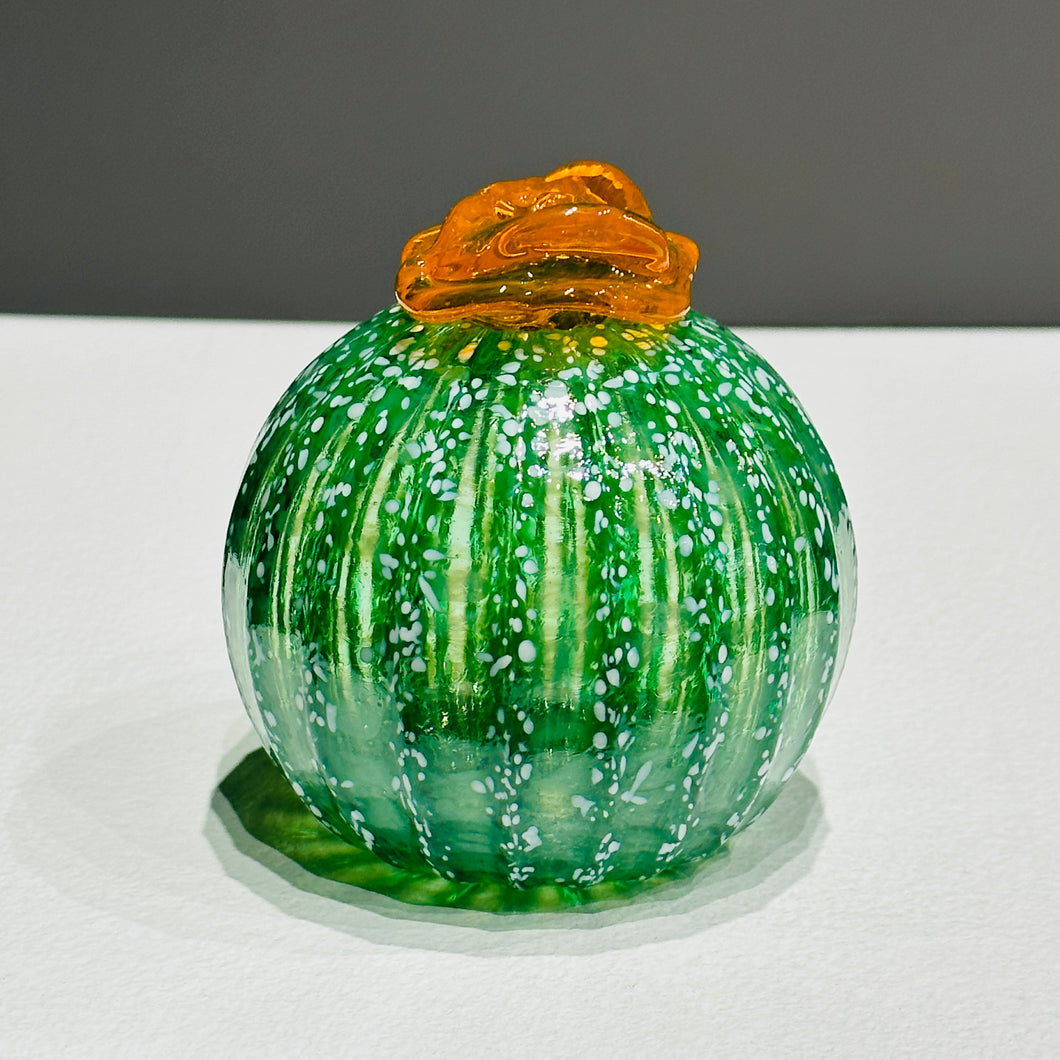 Round Succulent
