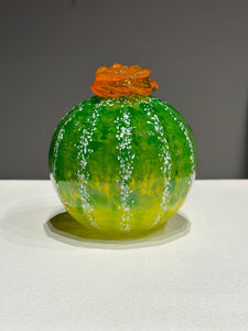 Round Succulent