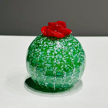 Load image into Gallery viewer, Round Succulent