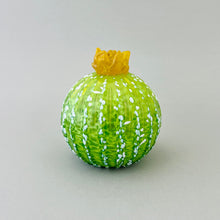 Load image into Gallery viewer, Round Succulent